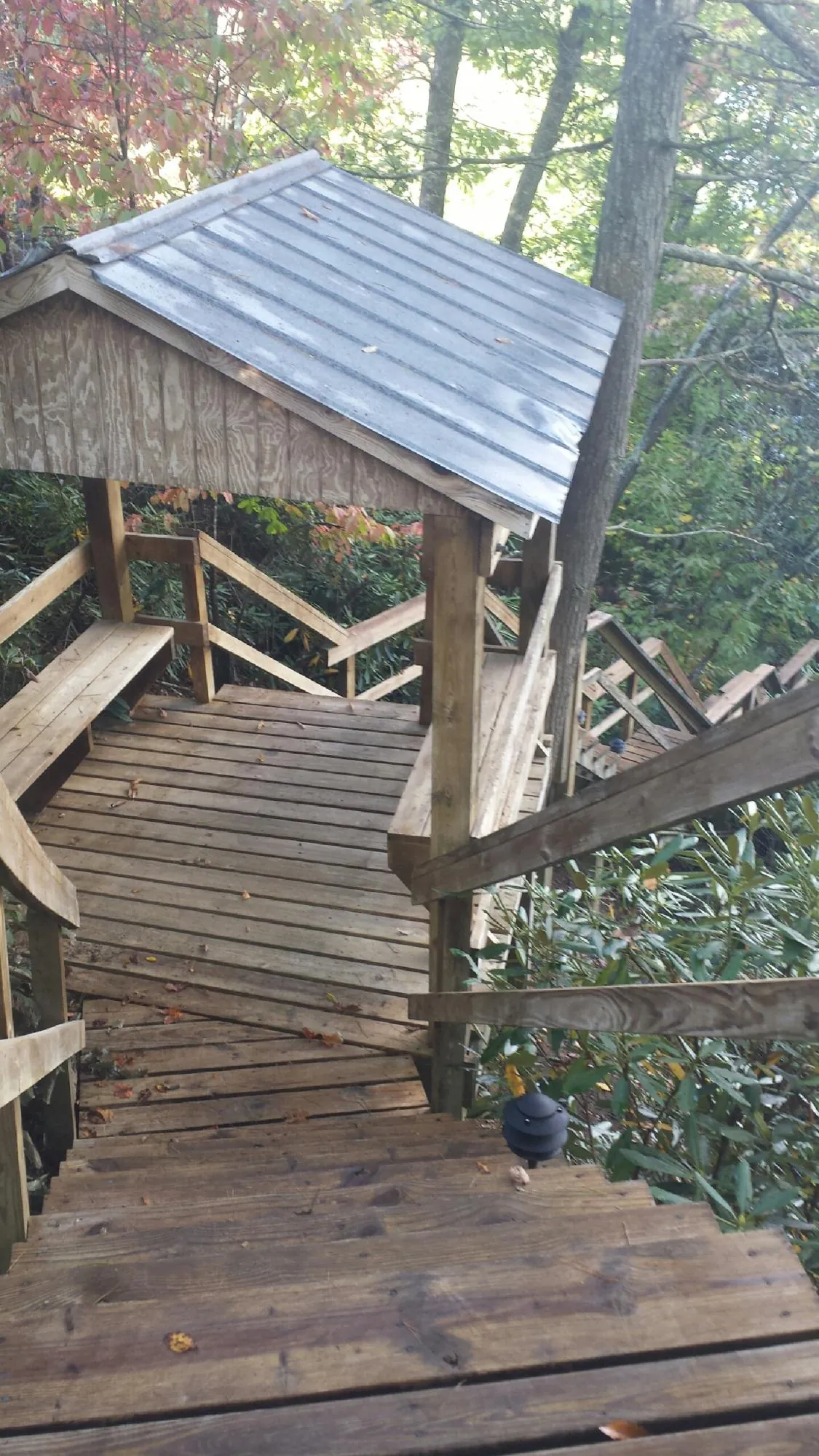 Metal roofed shelter over wooden steps on a wooded walkway — Skylight Repair & Installation work by our crew in Davilla